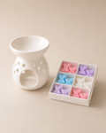 A Rain of Butterflies – Pink Bubbly & Exotic Fruits Wax Melt Kit
